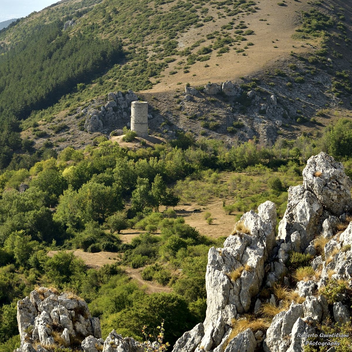 Sulle Orme di Mamma Orsa