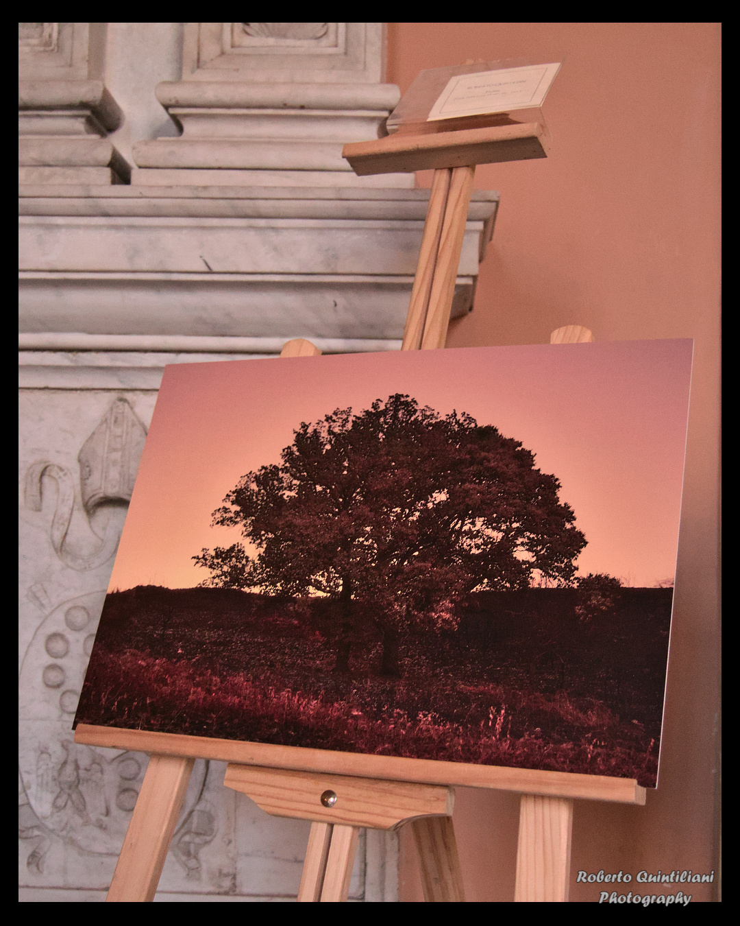 Immagini in Mostra